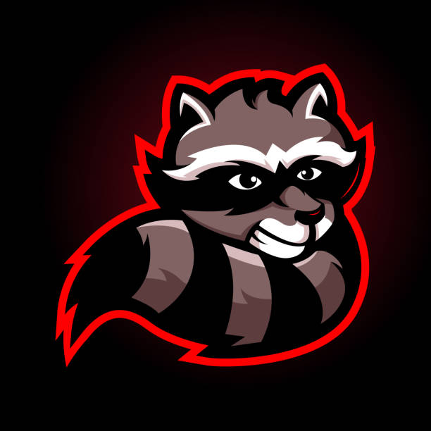 Raccoon Tattoo Designs Cartoons Illustrations, Royalty-Free Vector Graphics & Clip Art - iStock Raccoon Tattoo Designs Cartoons Illustrations, Royalty-Free Vector Graphics & Clip Art - iStock