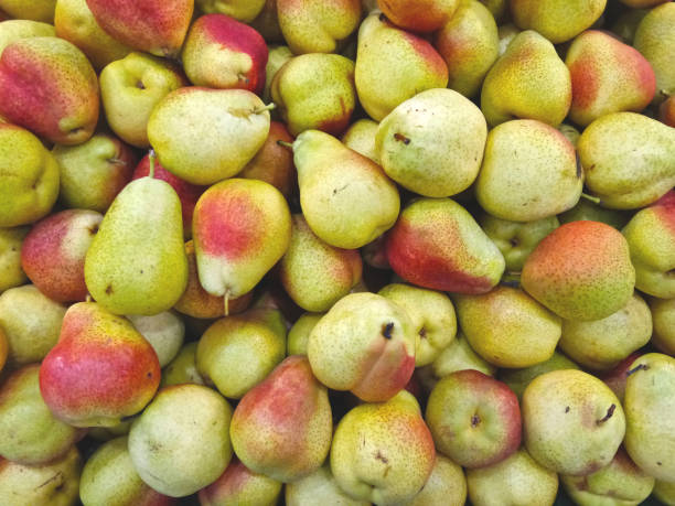 pile de poire de bande dessinée. il a une marque rougeâtre unique. les fruits sont vendus sur le marché des fruits frais - poire photos et images de collection