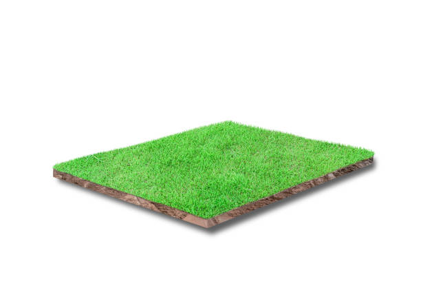 istock 3D render. Soil cubical cross section with green grass isolated on white background 1326185410