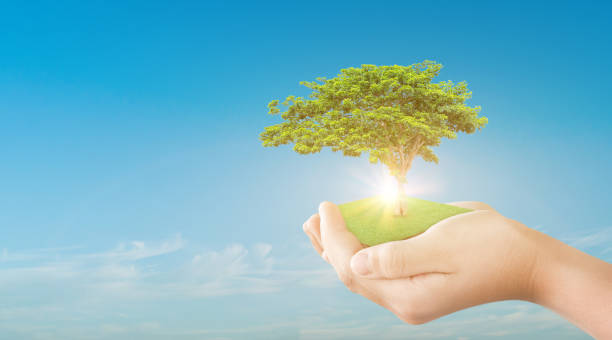 istock Hand holding green tree over blue sky background. ecology concept 1326186932