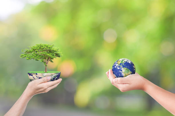 istock Hands holding earth globe and tree over sky nature background. Saving world Ecology concept 1326187866