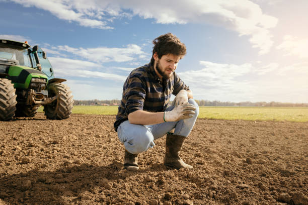 istock Farmer examining soil on agricultural field 1326203371