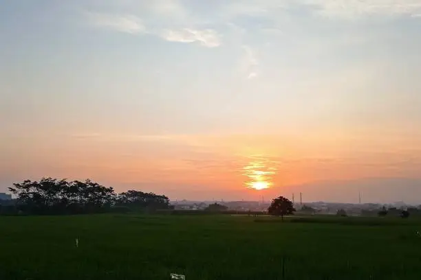 Photo of together with you enjoy the atmosphere of the sunrise by walking in the rice fields