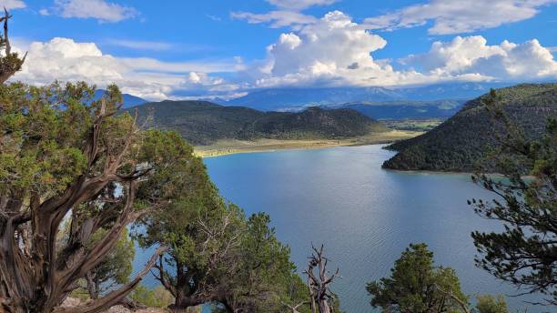 ridgway state park in colorado - uncompahgre national forest foto e immagini stock