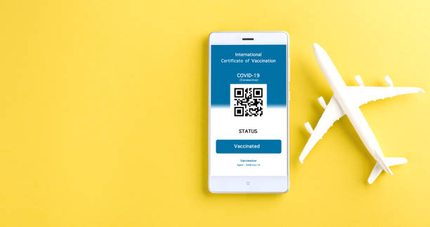 istock Model airplane and immunity pass are arranged application on smartphone 1326204336
