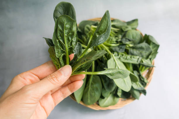 istock Fresh spinach leaves in a wooden plate. 1326209365