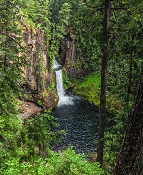 istock Toketee Falls Waterfall North Umpqua River South Central Orego 1326209449