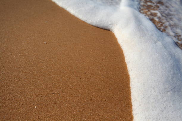 istock foam on sandy tropical ocean beach 1326212086
