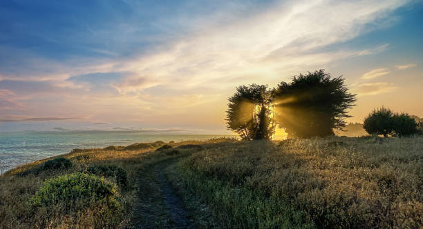 zachód słońca nad brzegiem morza, zachód słońca nad oceanem północnej kalifornii - mendocino county northern california california coastline zdjęcia i obrazy z banku zdjęć