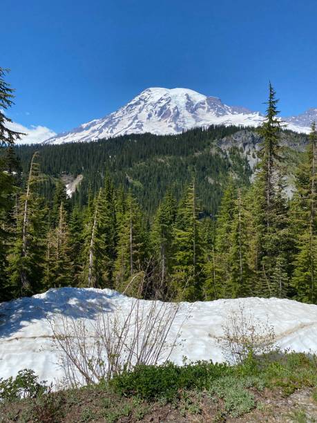 Beautiful view of Mt. Rainier with snow patch in foreground stock photo
