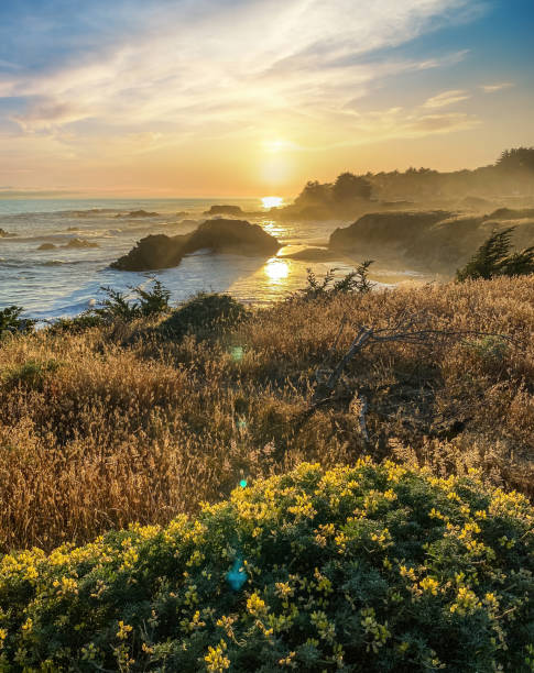 sonnenuntergang der küste, nordkalifornien ozean sonnenuntergang - mendocino county northern california california coastline stock-fotos und bilder