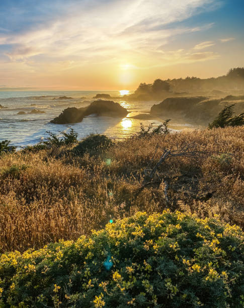 zachód słońca nad brzegiem morza, zachód słońca nad oceanem północnej kalifornii - mendocino county northern california california coastline zdjęcia i obrazy z banku zdjęć
