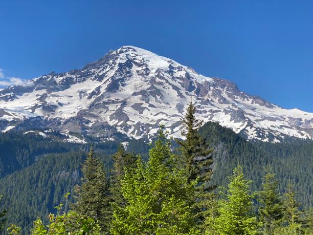 istock Beautiful view of Mt. Rainier 1326219908