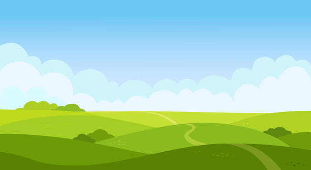 ilustrações de stock, clip art, desenhos animados e ícones de valley landscape in flat style. cartoon meadow landscape with grass. blue sky with white clouds. empty green field with trees and road. summer day. green hills background, empty glade template. vector. - landscape rural scene non urban scene farm