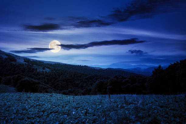 istock beautiful ukrainian countryside at night 1326223553
