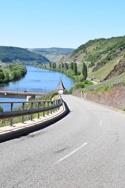 istock vineyard road down to the Mosel 1326224505
