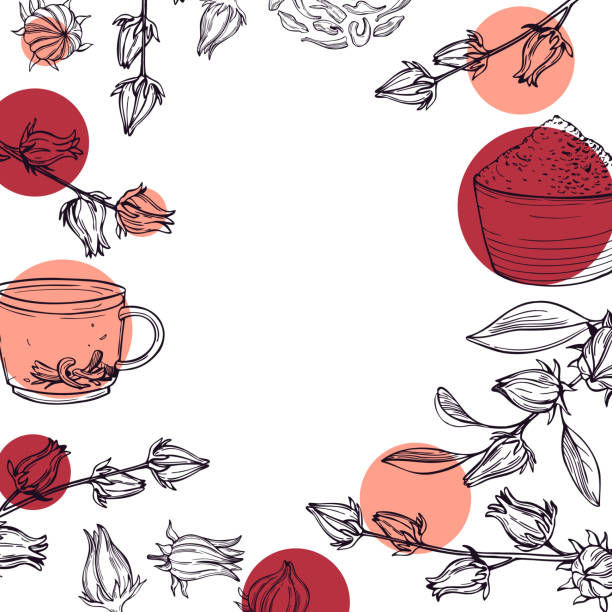 ilustrações de stock, clip art, desenhos animados e ícones de hibiscus tea set.  vector background. - 7651