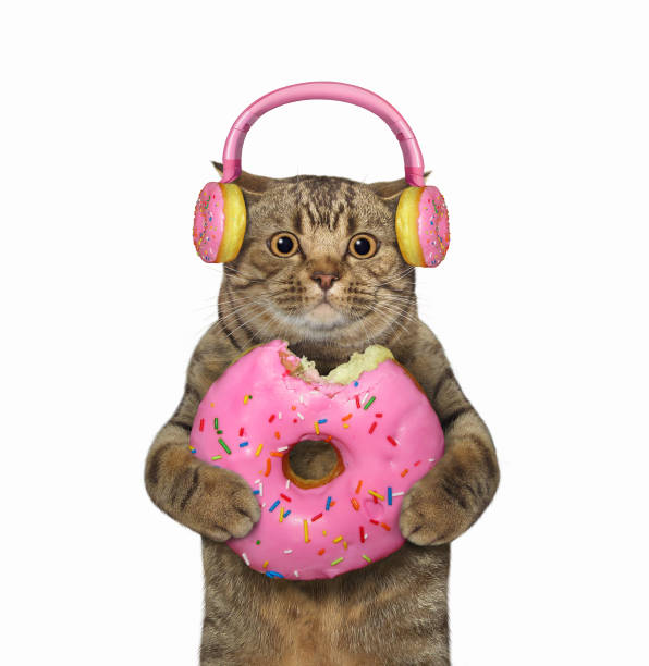 istock Cat in pink donut earphones 1326229003