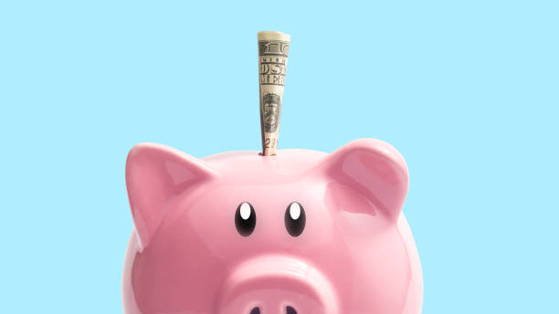 money on a pink piggy bank on a blue background. saving money concept. money on a pink piggy bank on a blue background. saving money concept. piggy bank photos stock pictures, royalty-free photos & images