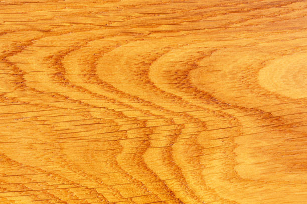 Close-up Texture Oak Wood for Background. Light brown shade with natural pattern grain line and wave