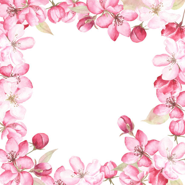 istock Floral square frame of apple blossom painted in watercolor, on white isolated background. 1326232310