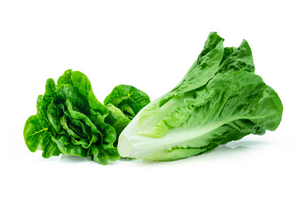 istock Fresh green Lettuce leaves, Salad leaf isolated on white background. with clipping path. 1326233149