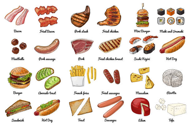 illustrations, cliparts, dessins animés et icônes de les hamburgers sont de la nourriture de rue rapide. dessin vectoriel de la nourriture. nourriture malsaine. frites, beignets, cacao, pâtisseries, bonbons, saucisses, hot-dog, bacon, fromage, sushi, pain grillé à l’avocat - hamburger refreshment hot dog bun