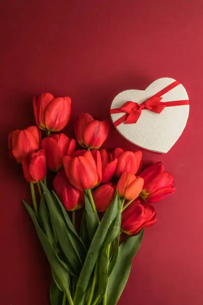Bouquet of red  tulips and gift heart box isolated on red background . Spring flowers. Greeting card for Birthday, Woman, Mother's Day, Wedding, Valentines day. Flat lay. Copy space. Banner