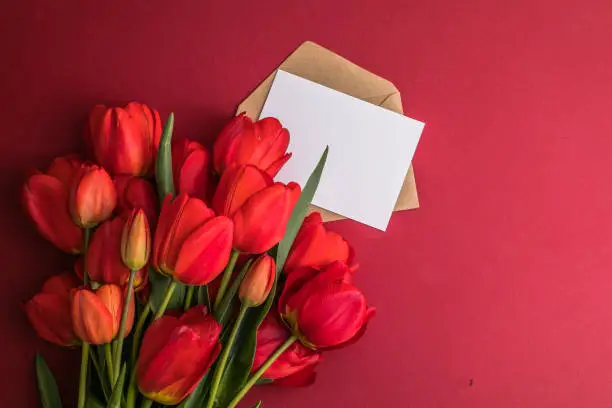 Photo of Creative layout made with tulip flowers on bright white red background. Flat lay. Spring minimal concept.