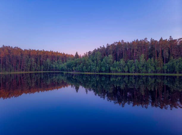 istock beautiful landscape with small lakes in the green forest 1326241375