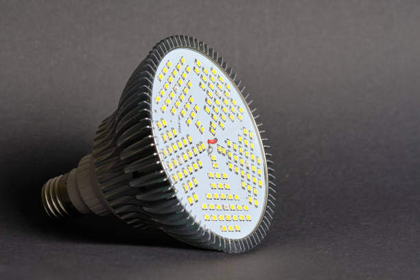 istock LED phytolamp for growing seedlings. Close-up, black background. 1326245651
