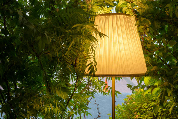 istock Sunbeams pour through trees in misty forest lamp 1326247309