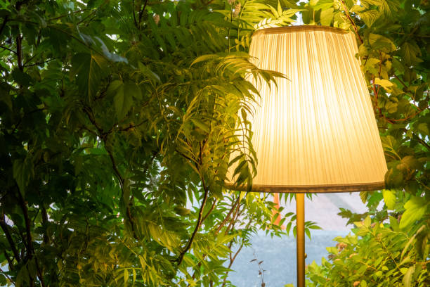istock Sunbeams pour through trees in misty forest lamp 1326247338