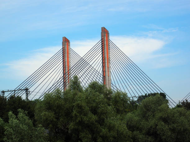 istock Cable bridge over the Waal in the Netherlands. 1326251082