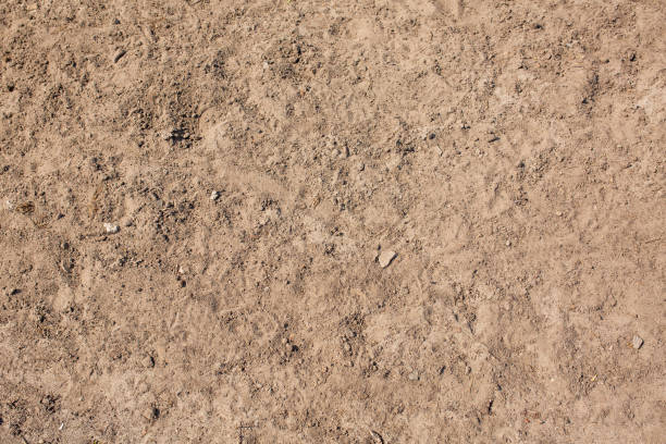 istock Dry loam surface closeup. Garden work concept 1326251446