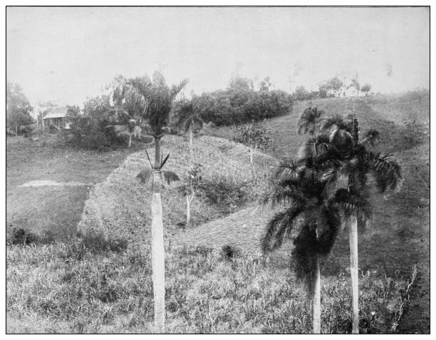 istock Antique black and white photograph: Dos Bocas, Cuba 1326253984