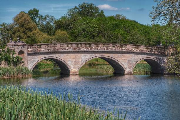 istock footpath track trail stone bridge footbridge river forest 1326255597