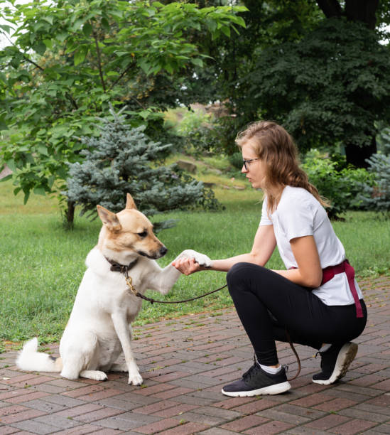 istock young woman training her dog in a park 1326255989