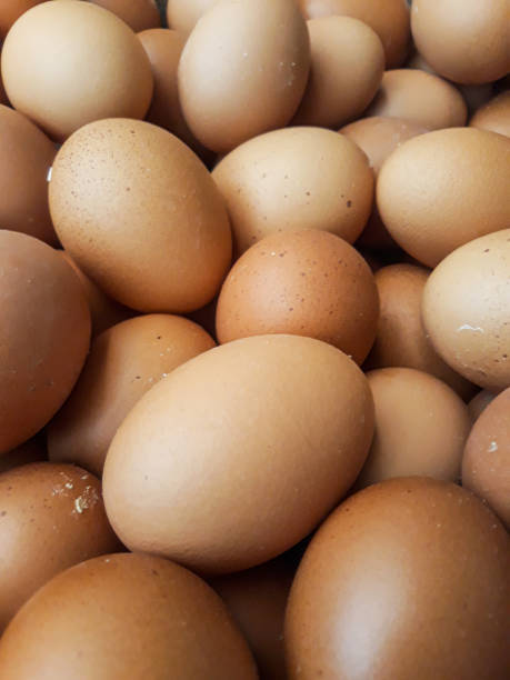 istock Group of chicken eggs closeup 1326256183
