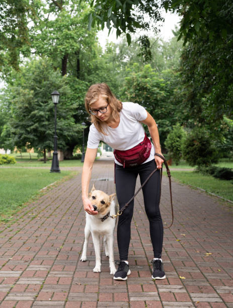 istock young woman training her dog in a park 1326257168
