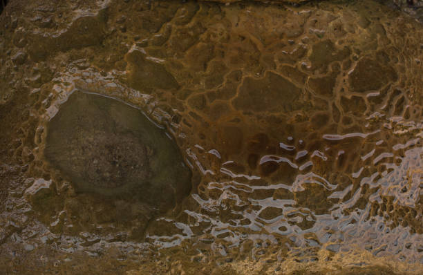 istock Fragment of aged stone after rain 1326257311