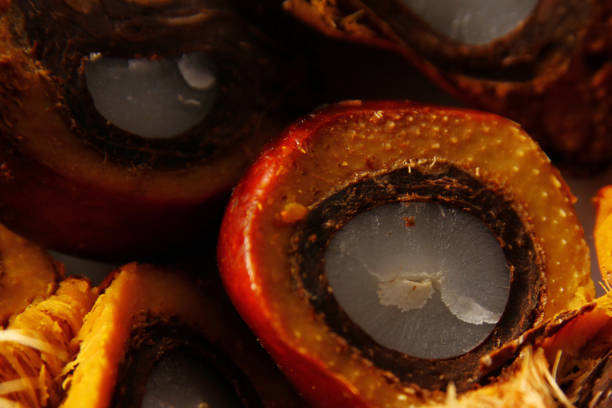 istock Palm Oil Fruit 1326262418