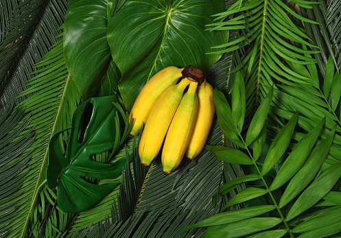 Arrangement of small bananas and palm leaves