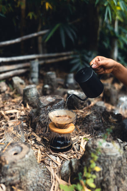 istock Drip coffee in the forest,pour hot water in coffee 1326263640