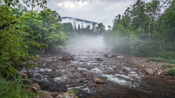 istock The beautiful river in the mist. The magnificent river. Quebec, Canada. 1326266335