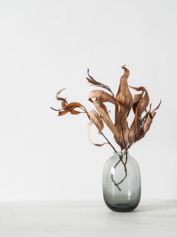 Minimal still life of dry autumn branches in glass vase on white table. Copy space. Front view