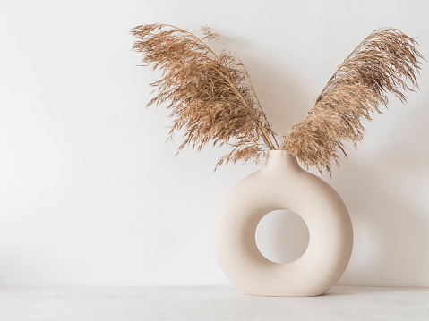 Dry autumn reed branches in round ceramic vase. Minimal interior decoration concept. Front view. Copy space