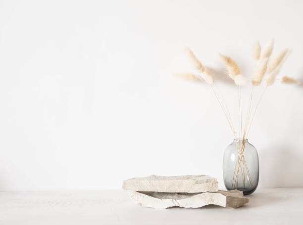 grey natural stones podium on white background, platform for product display and dry branches in vase - koopwaar fotos stockfoto's en -beelden