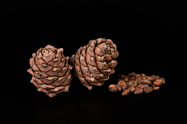 istock Pine nuts and ripe pine cones on a black background 1326276939