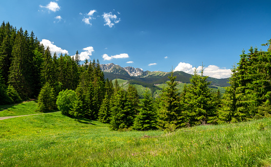 Beautiful summer mountain landscape. Low Tatras from Janska valley, slovakia